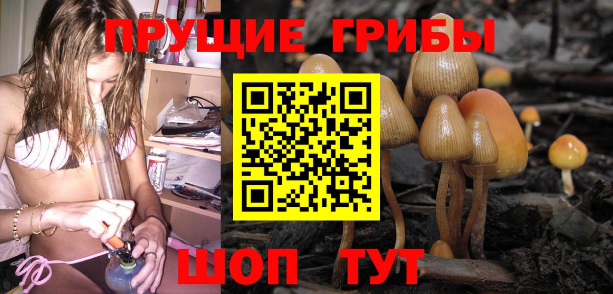 Галлюциногенные грибы Cubensis Железногорск