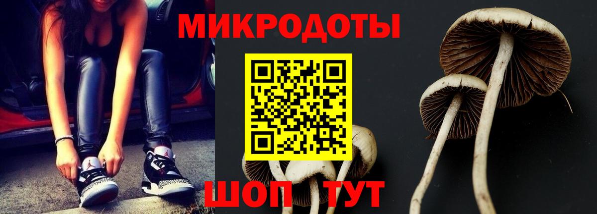 Железногорск  Галлюциногенные грибы Cubensis  Вход с VPN 